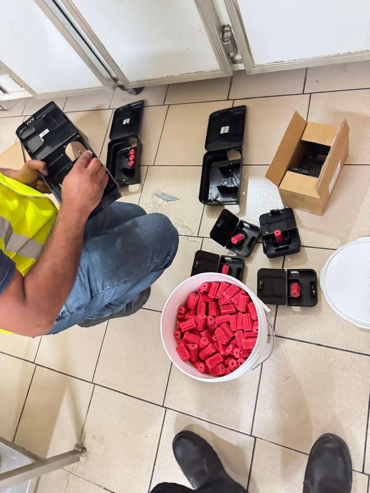 Mouse carcass removal and full sanitation completed at a Melbourne property