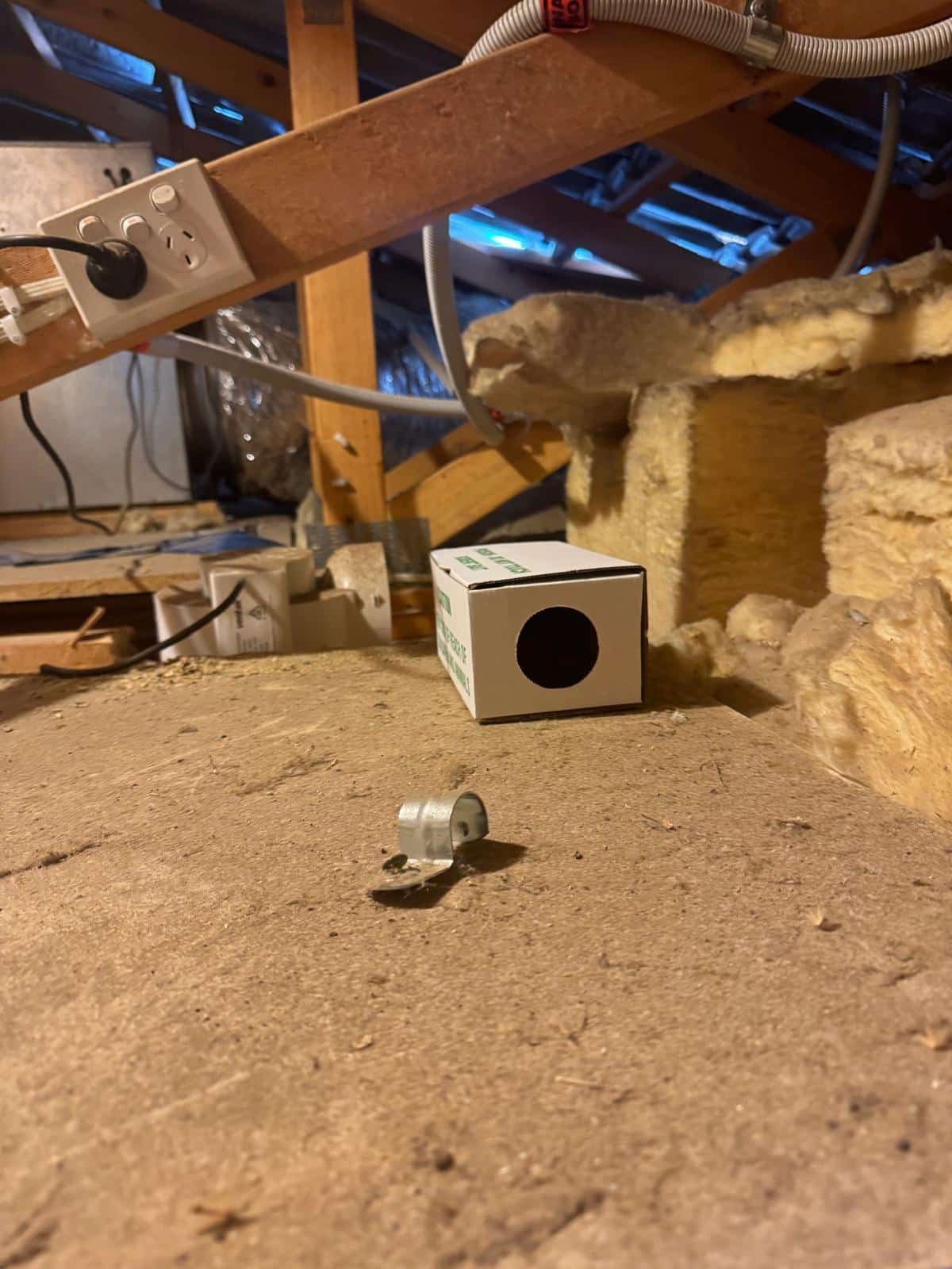 Licensed technician conducting a professional mouse inspection at a Melbourne property